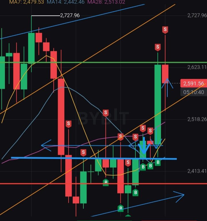 Mastering Digital Asset Trading: Strategies for Risk Management and Profit